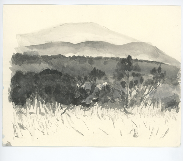 Sandia across arroyo